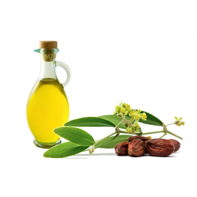 Dầu Golden jojoba